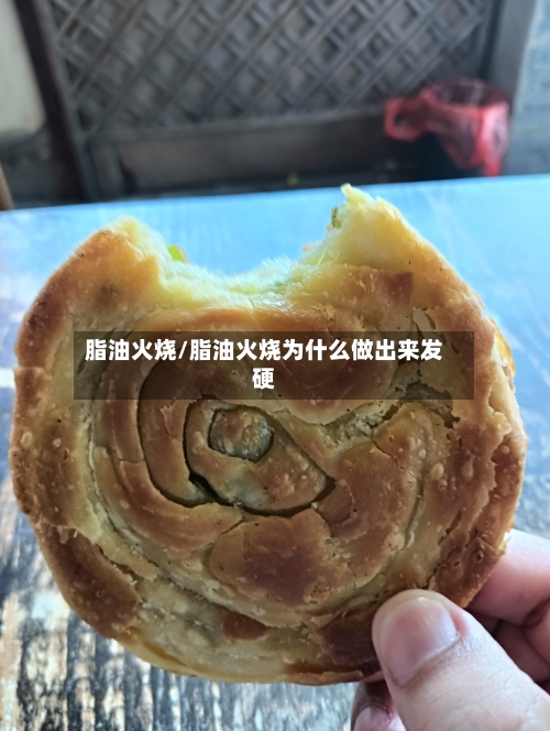 脂油火烧/脂油火烧为什么做出来发硬-第2张图片