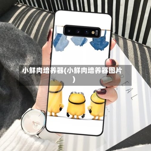 小鲜肉培养器(小鲜肉培养器图片)