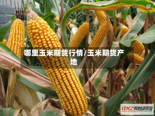 哪里玉米期货行情/玉米期货产地-第2张图片