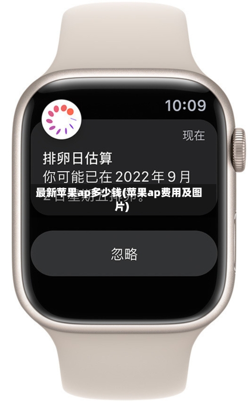 最新苹果ap多少钱(苹果ap费用及图片)