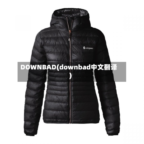 DOWNBAD(downbad中文翻译)