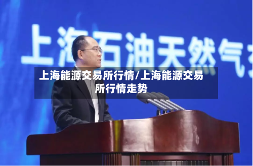 上海能源交易所行情/上海能源交易所行情走势