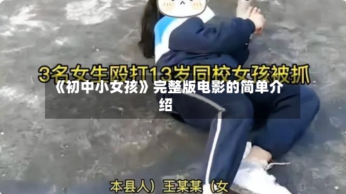 《初中小女孩》完整版电影的简单介绍-第2张图片
