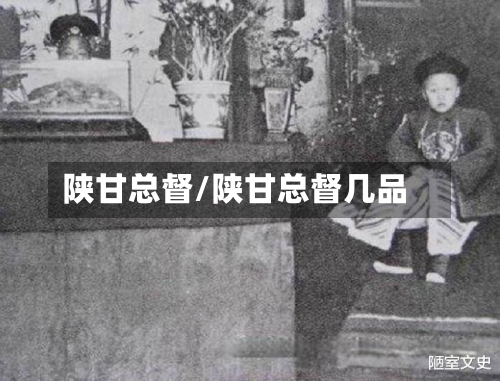 陕甘总督/陕甘总督几品-第2张图片