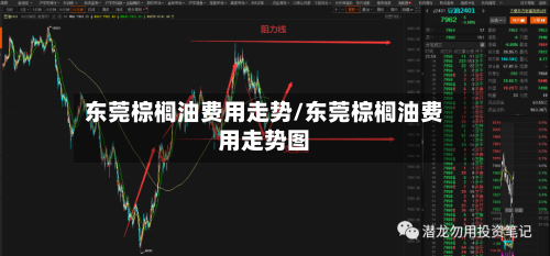 东莞棕榈油费用走势/东莞棕榈油费用走势图