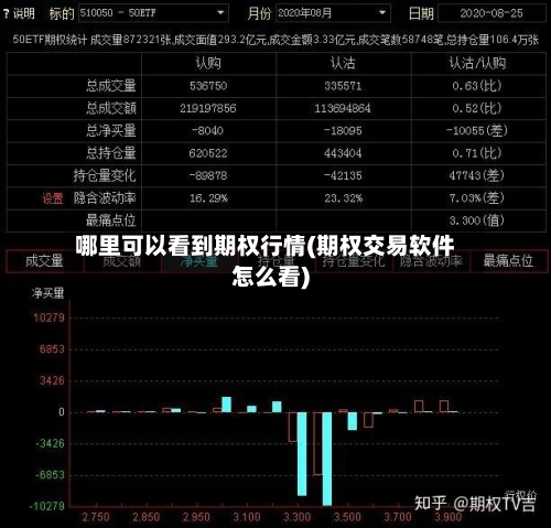 哪里可以看到期权行情(期权交易软件怎么看)-第2张图片