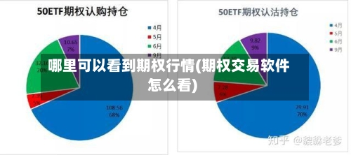 哪里可以看到期权行情(期权交易软件怎么看)
