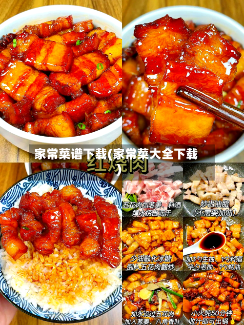 家常菜谱下载(家常菜大全下载)