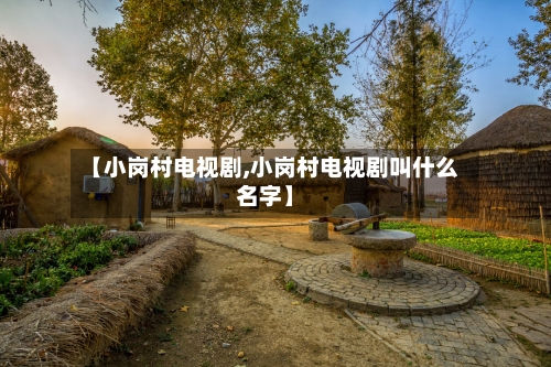 【小岗村电视剧,小岗村电视剧叫什么名字】