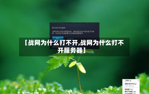 【战网为什么打不开,战网为什么打不开服务器】