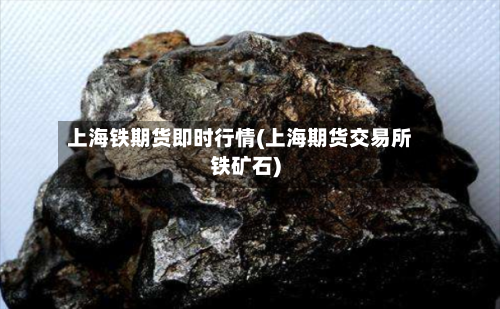 上海铁期货即时行情(上海期货交易所铁矿石)