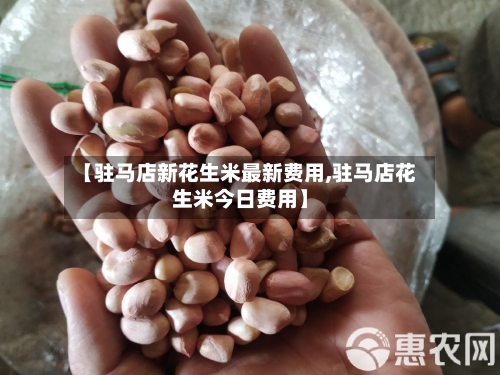 【驻马店新花生米最新费用,驻马店花生米今日费用】