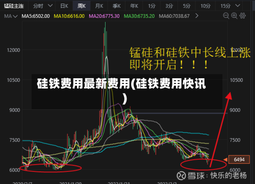 硅铁费用最新费用(硅铁费用快讯)