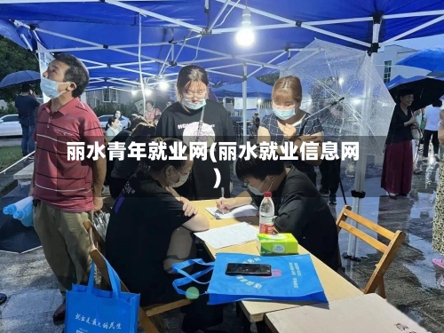 丽水青年就业网(丽水就业信息网)-第3张图片