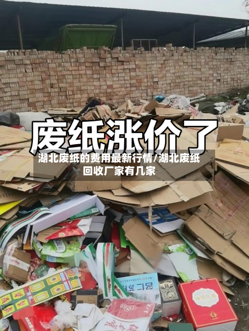 湖北废纸的费用最新行情/湖北废纸回收厂家有几家