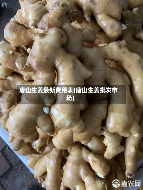 唐山生姜最新费用表(唐山生姜批发市场)-第3张图片