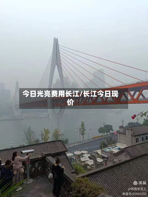 今日光亮费用长江/长江今日现价