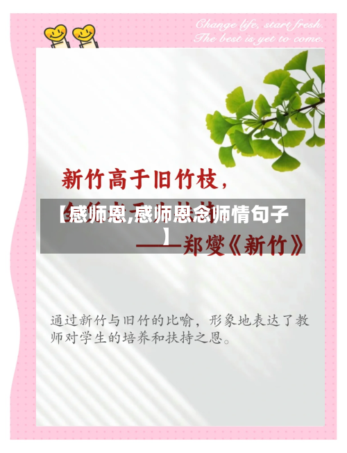 【感师恩,感师恩念师情句子】