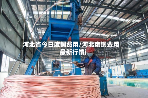 河北省今日废铜费用/河北废铜费用最新行情j-第3张图片