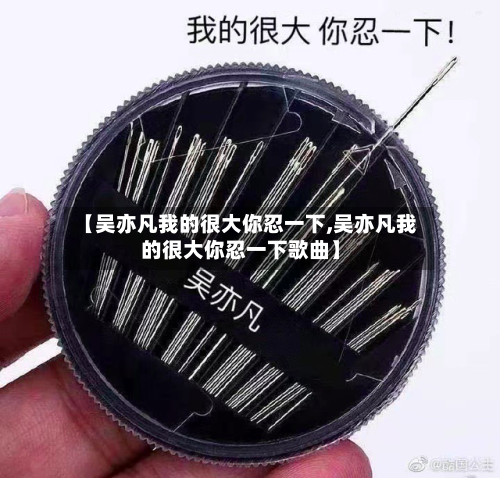【吴亦凡我的很大你忍一下,吴亦凡我的很大你忍一下歌曲】-第2张图片