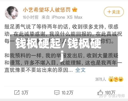 钱枫硬起/钱枫硬j