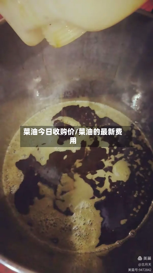 菜油今日收购价/菜油的最新费用