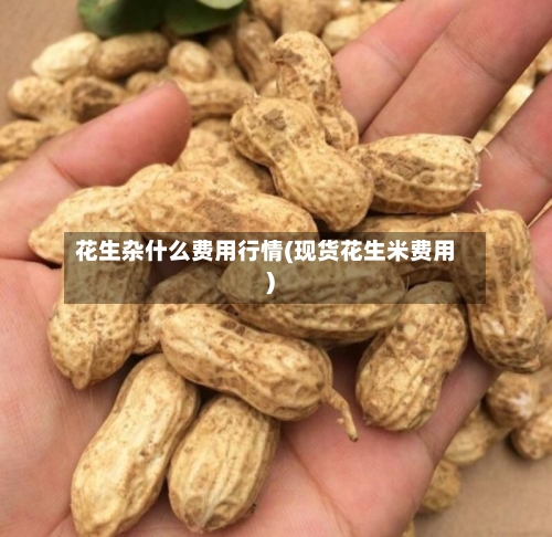 花生杂什么费用行情(现货花生米费用)