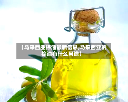 【马来西亚棕油最新信息,马来西亚的棕油有什么用途】