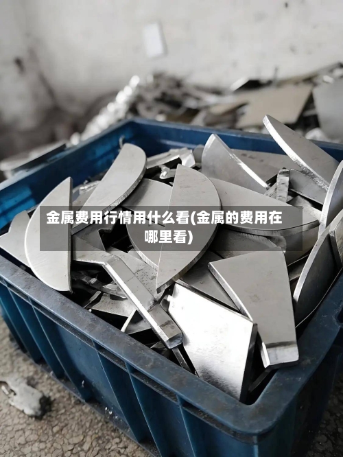 金属费用行情用什么看(金属的费用在哪里看)