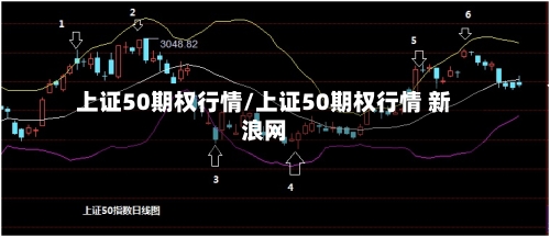 上证50期权行情/上证50期权行情 新浪网-第2张图片