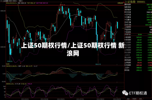 上证50期权行情/上证50期权行情 新浪网