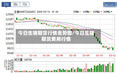 今日生猪期货行情走势图/今日生猪期货费用行情-第2张图片