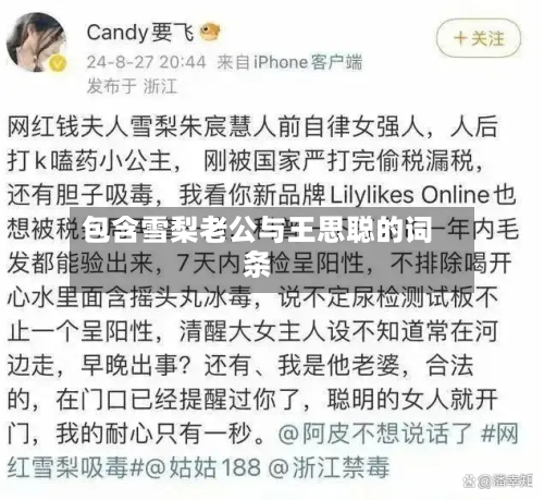 包含雪梨老公与王思聪的词条