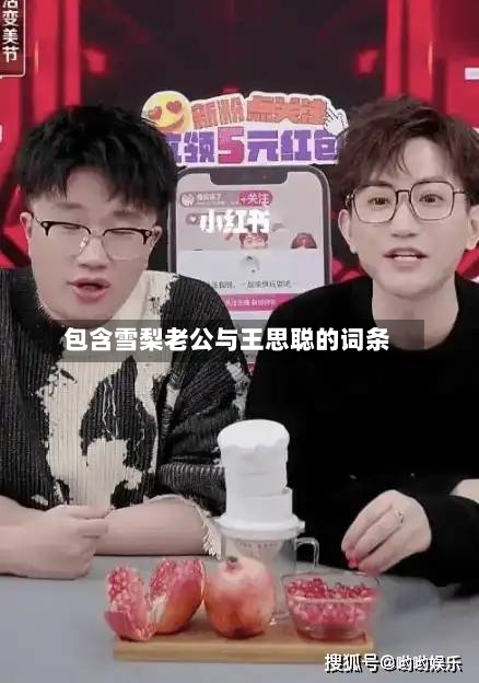 包含雪梨老公与王思聪的词条-第3张图片