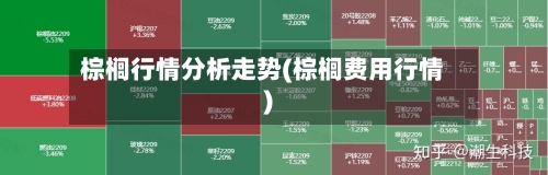 棕榈行情分析走势(棕榈费用行情)