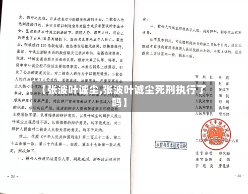 【张波叶诚尘,张波叶诚尘死刑执行了吗】-第2张图片