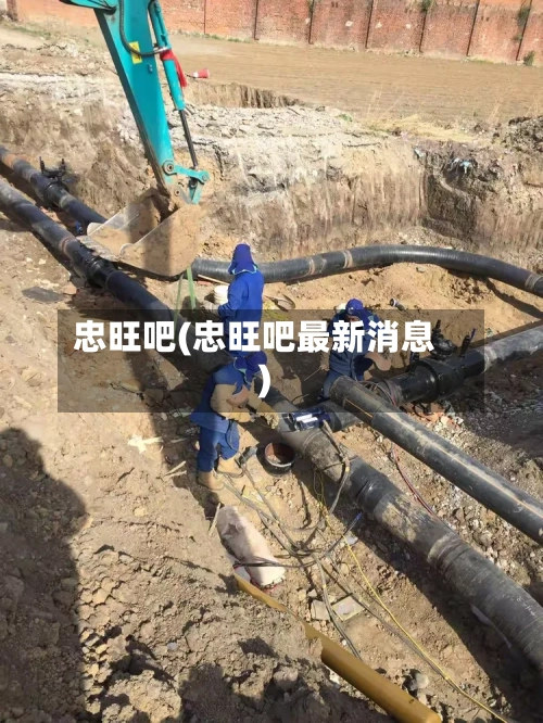 忠旺吧(忠旺吧最新消息)-第2张图片