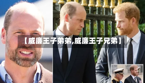 【威廉王子弟弟,威廉王子兄弟】