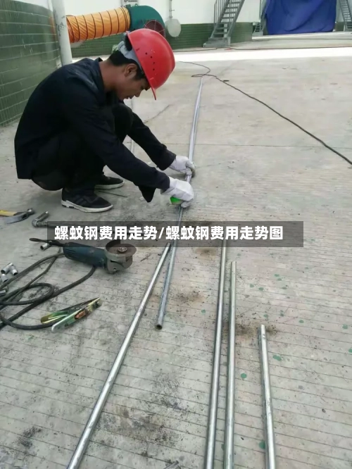 螺蚊钢费用走势/螺蚊钢费用走势图-第3张图片