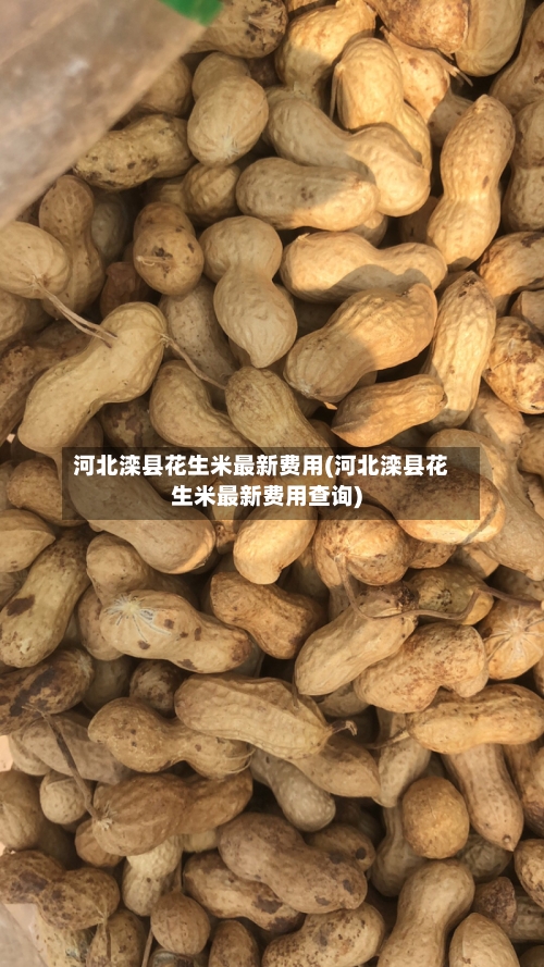 河北滦县花生米最新费用(河北滦县花生米最新费用查询)-第2张图片
