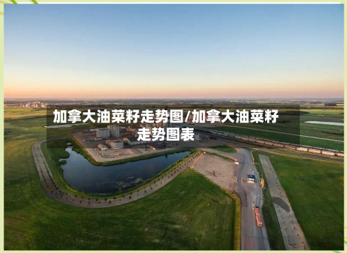 加拿大油菜籽走势图/加拿大油菜籽走势图表