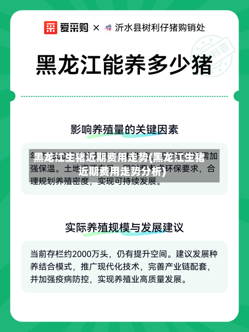 黑龙江生猪近期费用走势(黑龙江生猪近期费用走势分析)