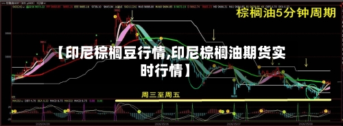 【印尼棕榈豆行情,印尼棕榈油期货实时行情】