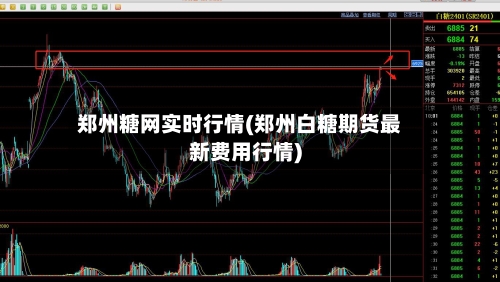 郑州糖网实时行情(郑州白糖期货最新费用行情)