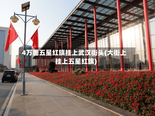 4万面五星红旗挂上武汉街头(大街上挂上五星红旗)