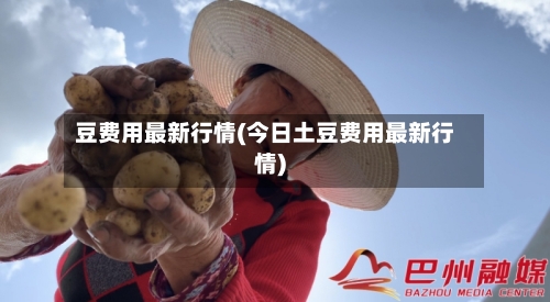 豆费用最新行情(今日土豆费用最新行情)-第3张图片
