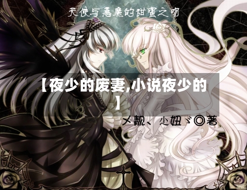 【夜少的废妻,小说夜少的】