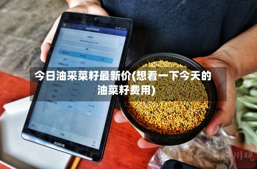 今日油采菜籽最新价(想看一下今天的油菜籽费用)