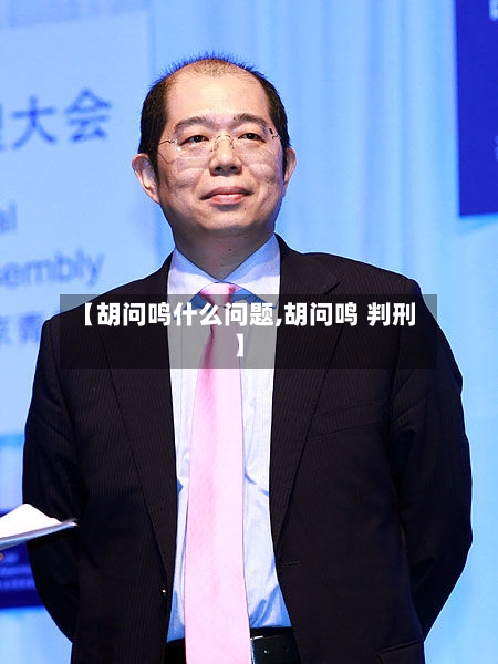 【胡问鸣什么问题,胡问鸣 判刑】