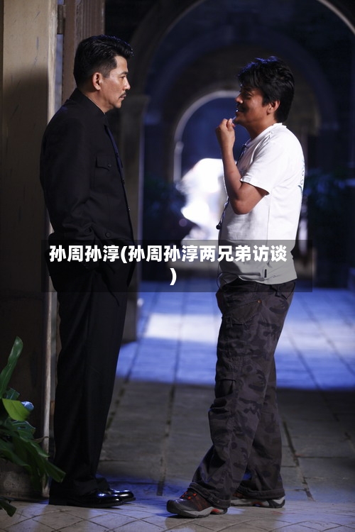 孙周孙淳(孙周孙淳两兄弟访谈)